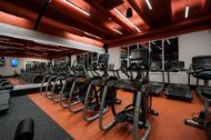 Slika Cardio